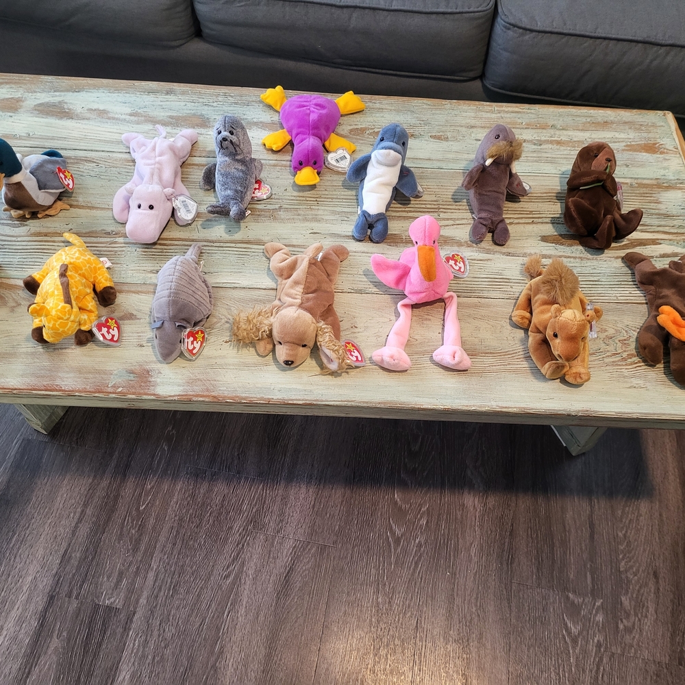 TY Beanie Babies Plush Toy Set - Multicolor